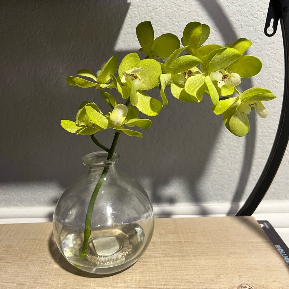 Small Faux plant